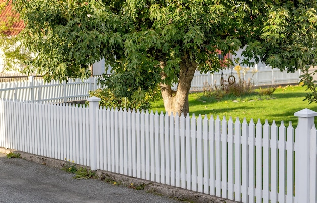 hübscher weißer hölzerner Zaun eines Gartens mit dem Laub eines Baumes und einem schönen Rasen