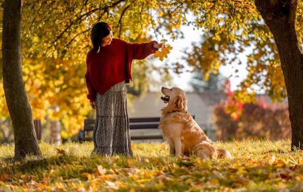 Hübsches Mädchen mit Golden Retriever-Hund, der im Herbstpark ein gelbes Blatt in der Hand hält. Hübsche junge Frau, die im Herbst in der Natur mit einem reinrassigen Labrador-Hund spielt