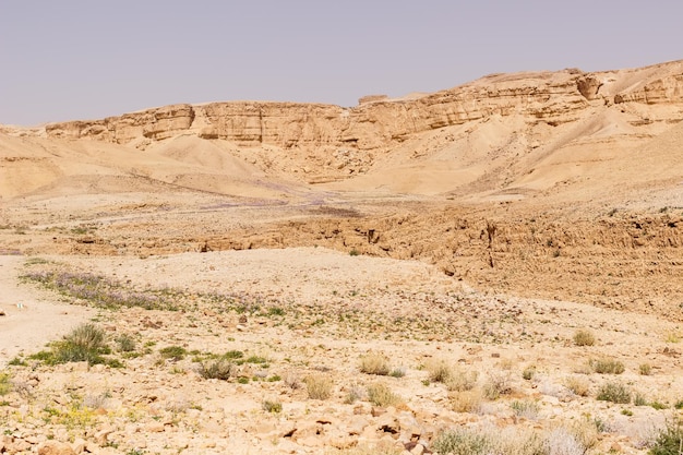 Hügel und Felsen in der Judäischen Wüste in Israel