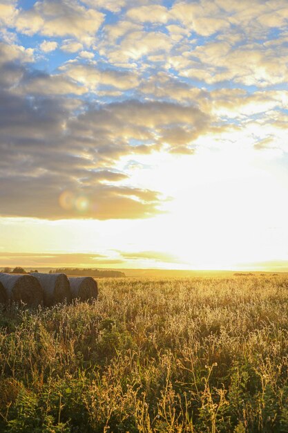 Hügel von landwirtschaftlichen Feldern bei Sonnenaufgang oder Sonnenuntergang im Herbst mit Himmel in den Wolken