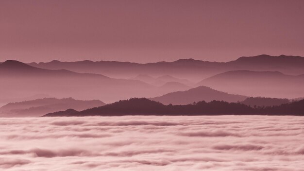 Foto hügelige berglandschaft, eingetaucht im herbstnebel