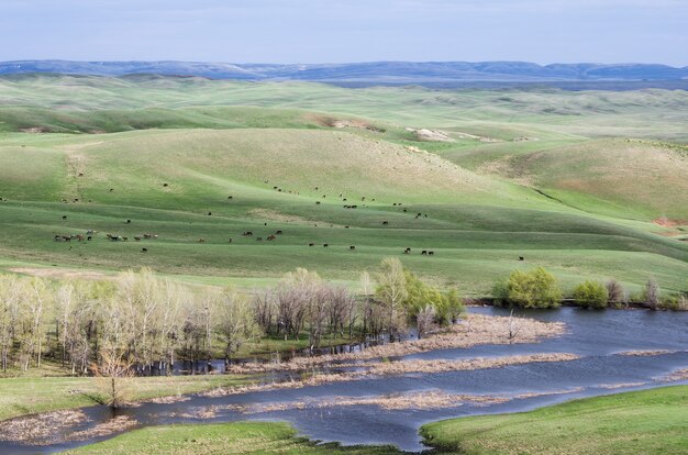 Hügelige Steppe im Frühling