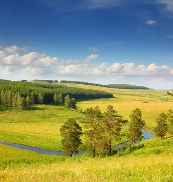 Hügellandschaft im Sommer