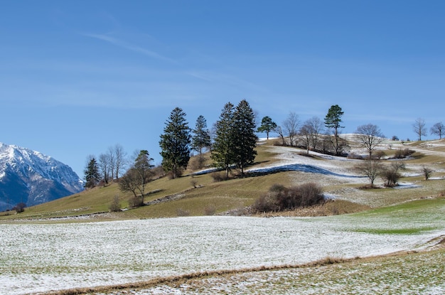 Hügellandschaft und Bäume