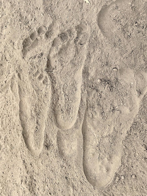 Una huella en la arena de una playa