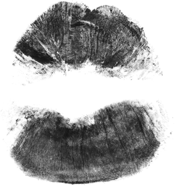 Foto la huella del beso sutil