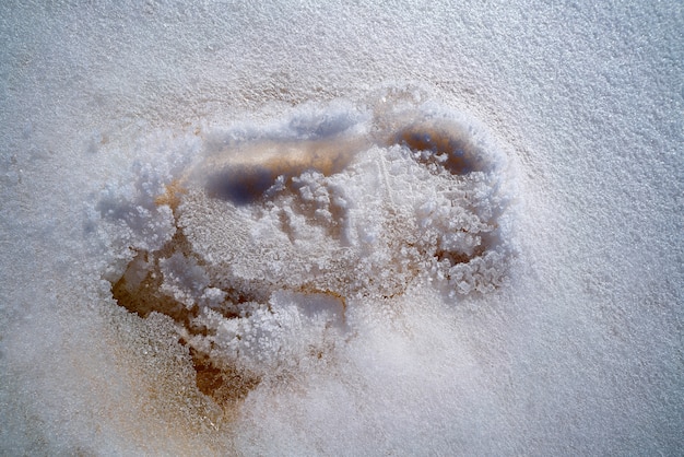 Huella helada sobre nieve blanca