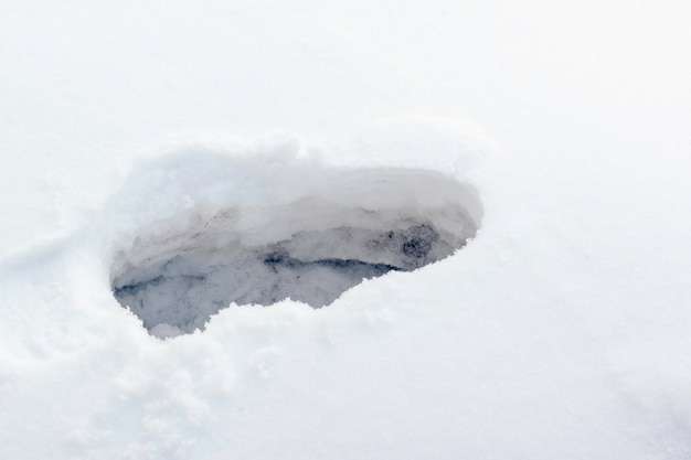 Huella de hombre en una nieve de invierno Huella humana en nieve profunda