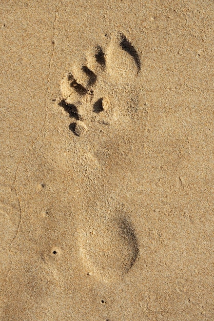 Foto huella humana del pie izquierdo en la arena de la playa