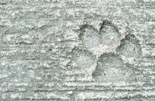 Huella del perro del primer en el fondo sucio de la textura del piso del cemento