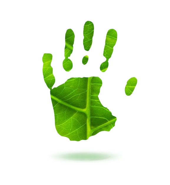 Foto huella verde hecha de concepto de ecología de hojas