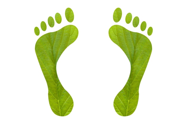 Huella verde humana