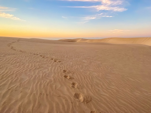 Foto huellas en la arena del desierto a lo lejos. foto de alta calidad