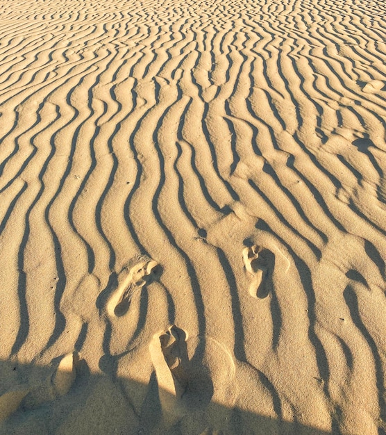 Foto huellas en la arena del desierto a lo lejos