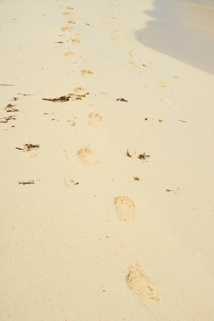 Huellas en la arena de una playa de arena como telón de fondo