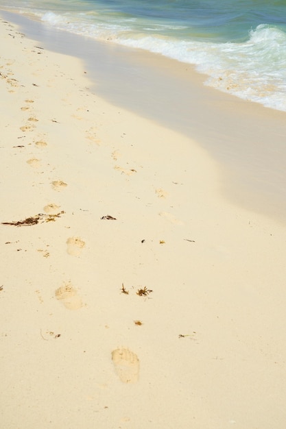 Huellas en la arena de una playa de arena como telón de fondo