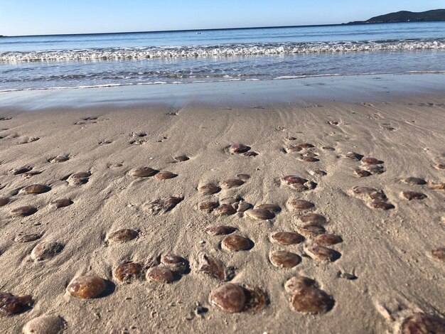 Huellas en la arena de la playa contra el cielo