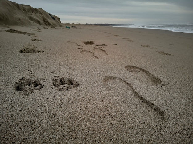 Huellas colocadas una al lado de la otra en la arena: las de una persona y las de un perro que continúan paralelas en el paisaje.
