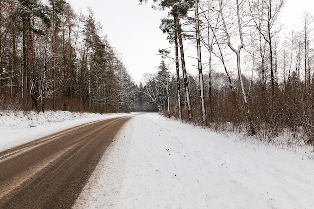 Huellas dejadas por el coche en la carretera nevada en la temporada de invierno. Primer de la foto en tiempo nublado. El camino pasa por el bosque con árboles.