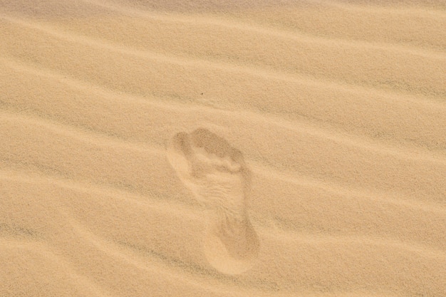 Huellas en el desierto o en la arena de la playa