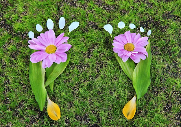 Huellas de hojas y flores en primer plano de hierba