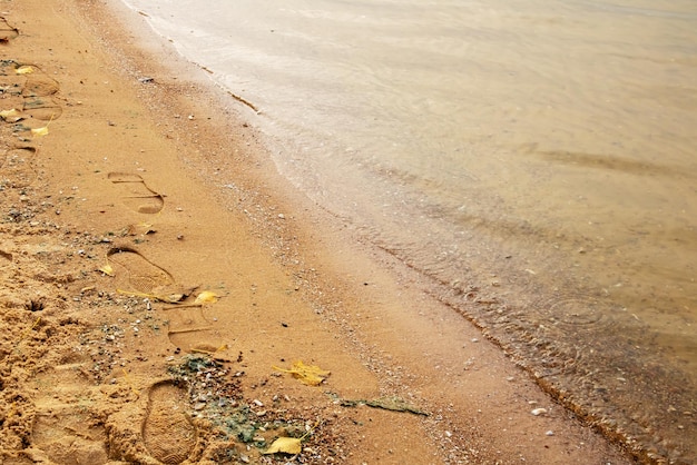 Huellas humanas en la arena cerca del agua