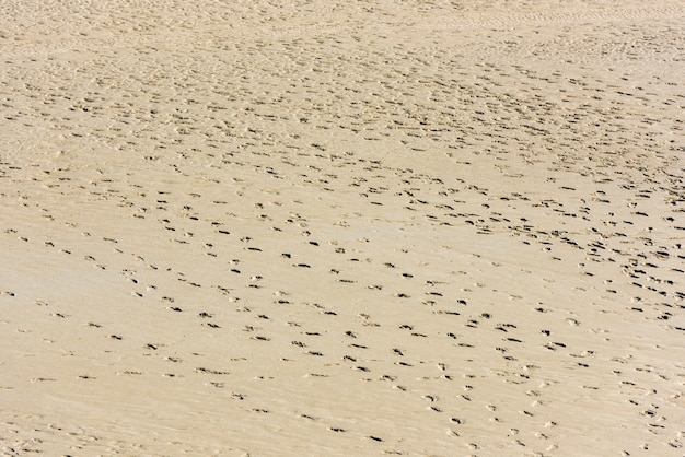 Huellas humanas en la arena del fondo del mar durante la marea baja.