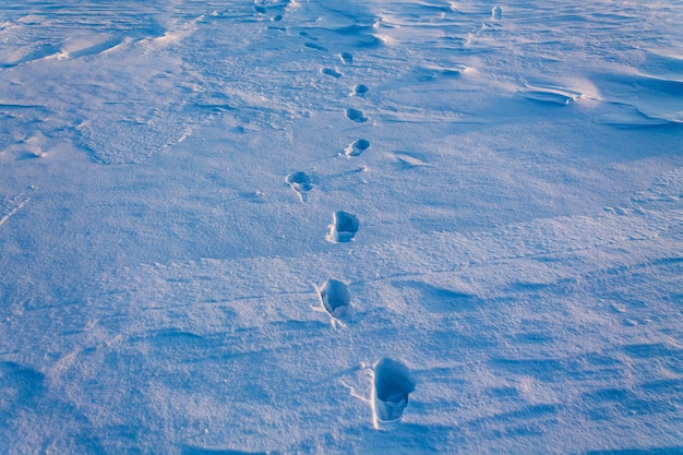 Huellas humanas en la nieve limpia.