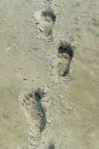 Huellas múltiples en una playa de arena Huellas profundas en arena mojada Fondo de arena