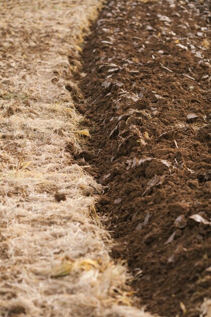 Foto huellas de neumáticos en un campo