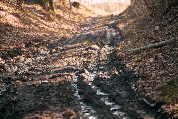 Las huellas de los neumáticos se tejen a través del barro