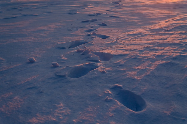 Huellas en la nieve