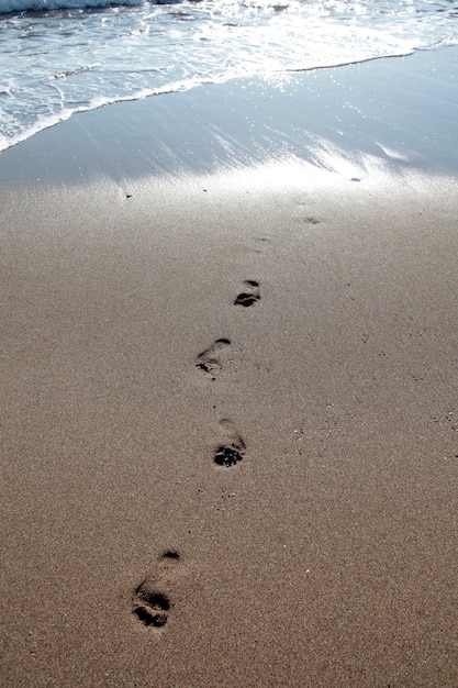 Huellas en la playa