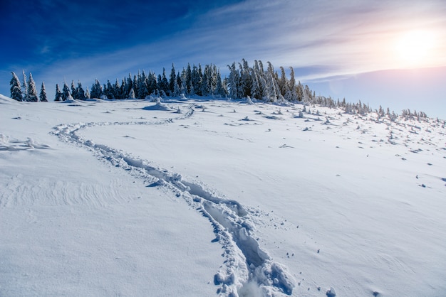 Huellas profundas en la nieve.