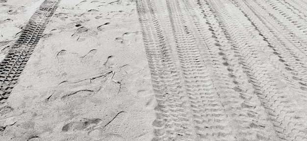 Huellas y vehículos en la playa de arena suave