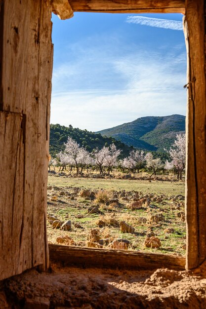 El huerto de primavera y la vista de la montaña desde la cabaña rústica