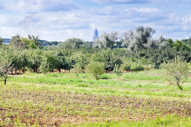 Huerto urbano de manzanos