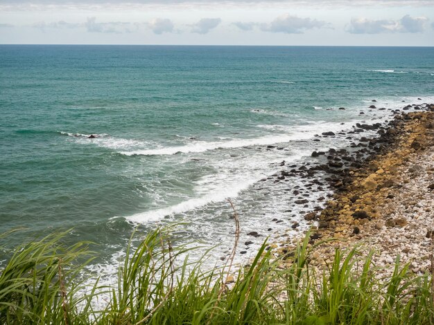 Hütte am Meer mit grünem Gras