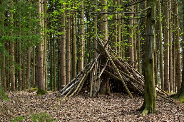 Hütte aus Kiefernstämmen im österreichischen Wald