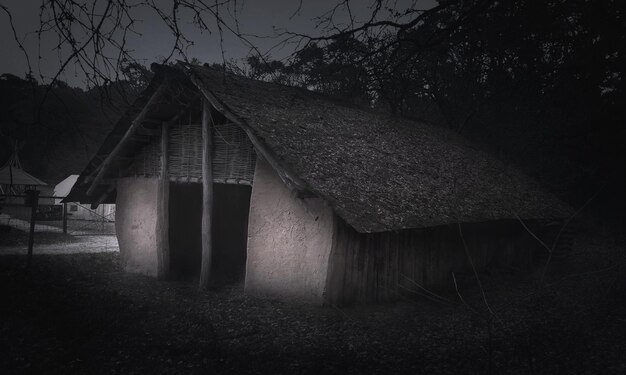 Foto hütte gegen bäume in der nacht