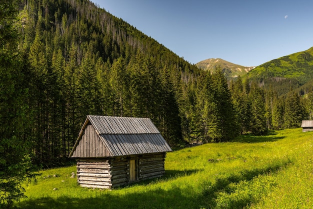 Hütte im Chocholowka-Tal in den Bergen des Tatra-Nationalparks in Polen in der Nähe von Zakopane