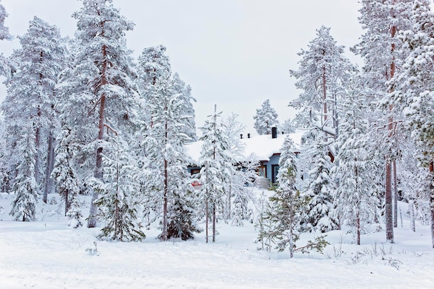 Hütte im schneebedeckten Ruka in Finnland am Polarkreis im Winter