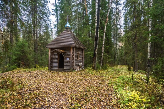 Foto hütte im wald