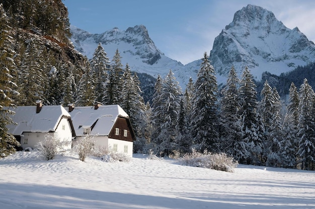 Hütte in einem verschneiten Wald