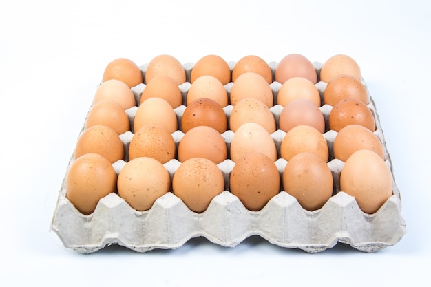 Huevo en una caja de huevos sobre fondo blanco