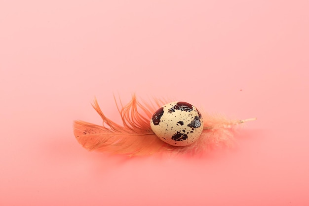 Un huevo de codorniz con una pluma sobre un fondo rosa.