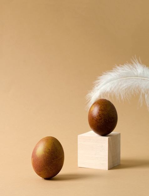 El huevo de gallina marrón se encuentra sobre una superficie beige con una pluma. Concepto de pascua