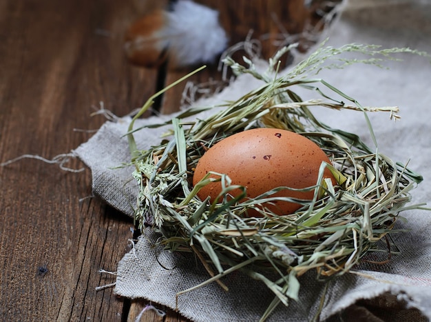 Huevo de gallina en nido de paja