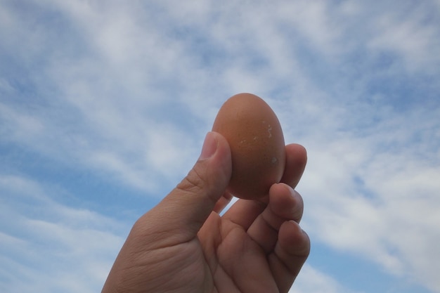 Huevo en mano en el cielo