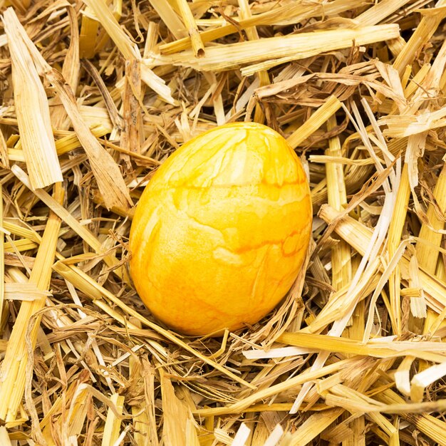 Un huevo de Pascua amarillo dorado se encuentra en la paja. Tomada en estudio con una 5D mark III.